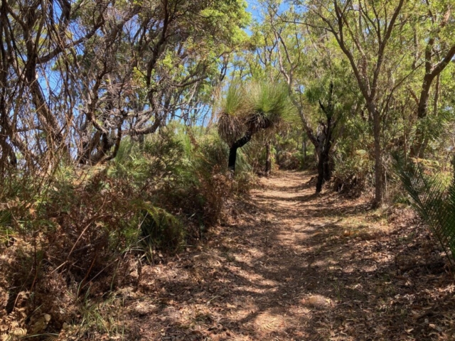 The first part of the trail goes through coastal scrub