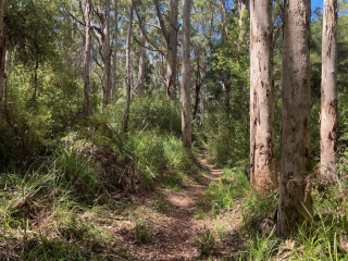 On the trail