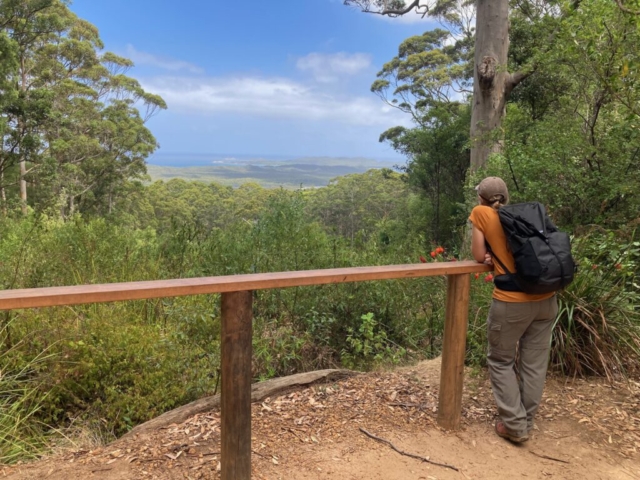 CC takes in the view