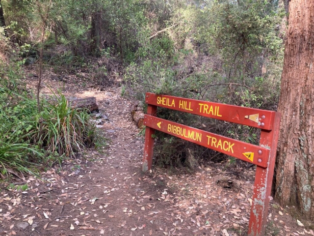 Start of the trail