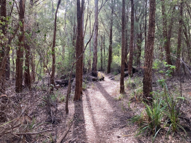 The lower part of the trail