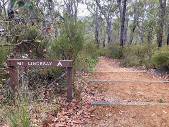 Start of the trail