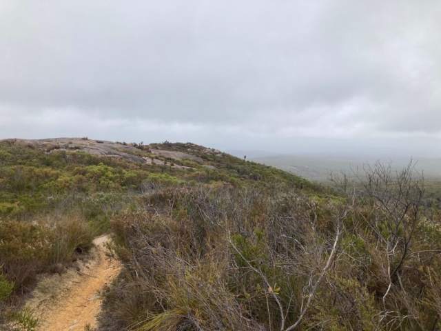 Looking back down the trail