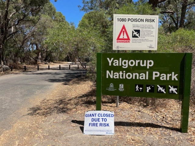 Yalgorup National Park - home of Thrombolites and a Giant