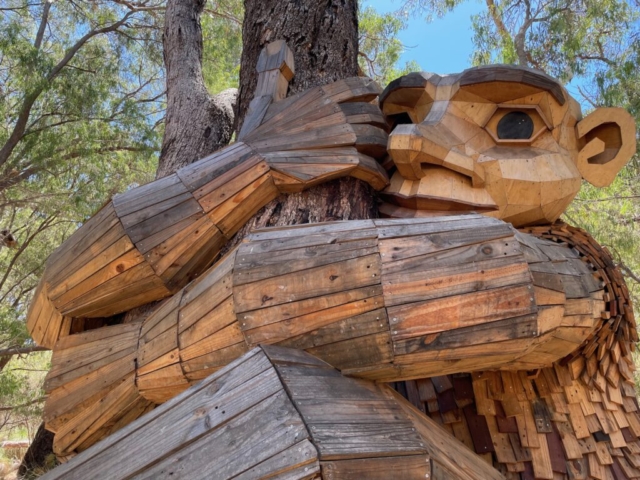 Close up of the Giant in Yalgorup National Park