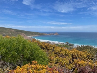 View of Sugarloaf Rock from the Cape to Cape Track