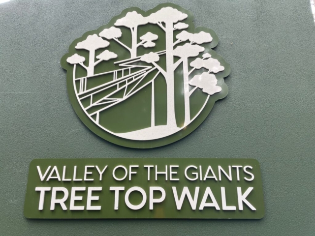 Valley of the Giants tree top walk