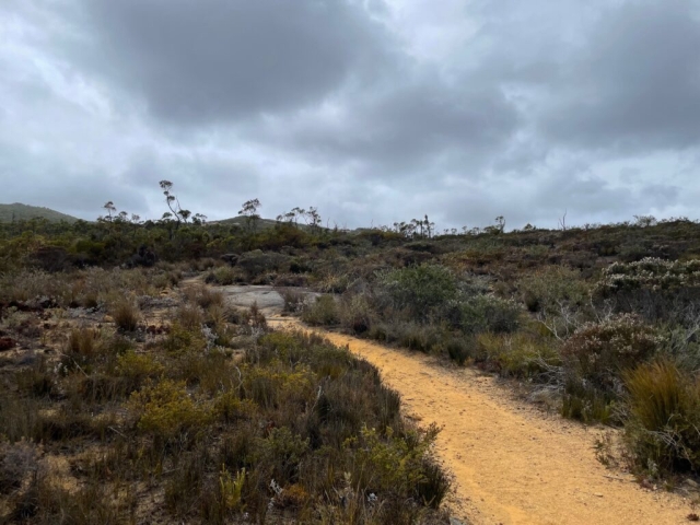 As the trail gets higher the trees disappear