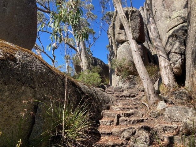 Steps on the Castle Rock trail