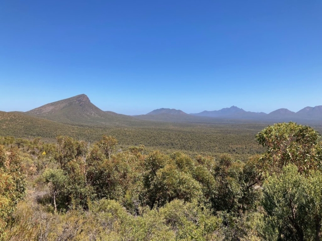 View from the start of the trail