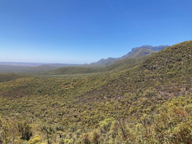 Another view from the start of the trail