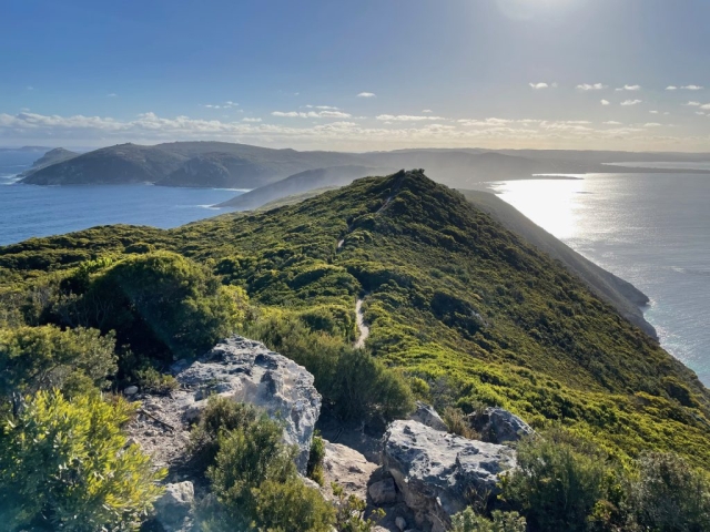 View of the trail on the return journey