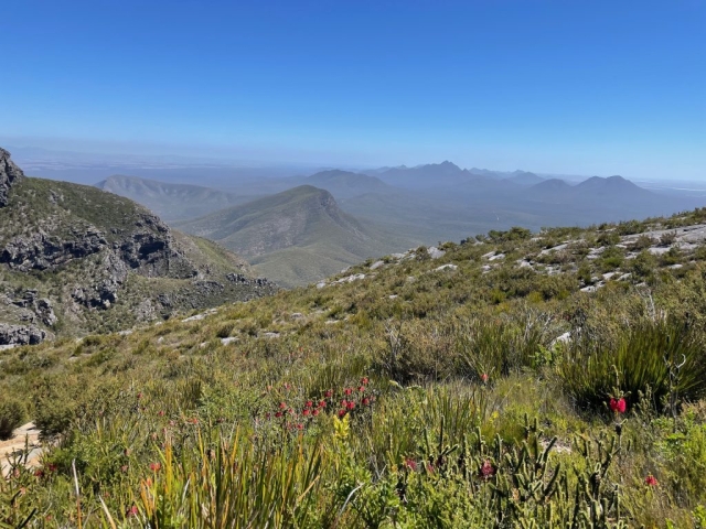 Approaching the summit