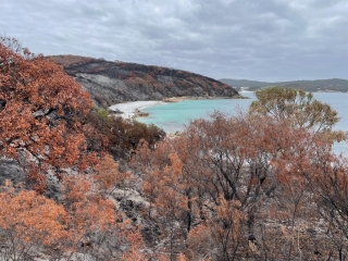 Overlooking Efelo Beach Overlooking Efelo Beach