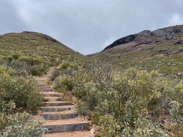 Steps near the start of the Mount Trio Trail