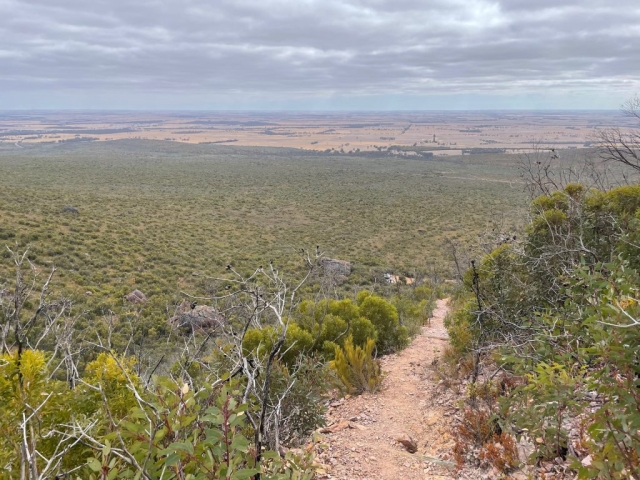 View from the Mount Trio Trail