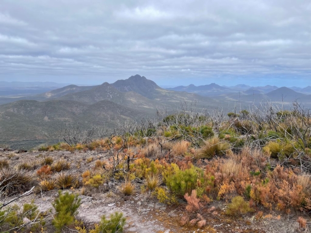 View from the top of the Mount Trio Trail