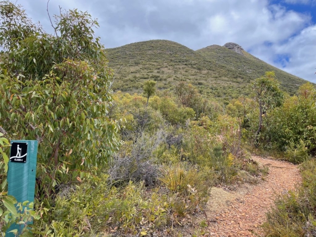 The start of the Mount Hassell Trail