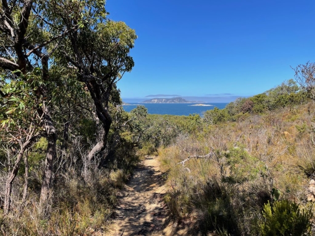 Trail in Mount Martin Botanic Garden