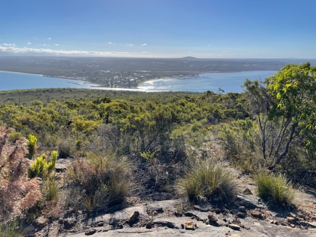 View over Albany from Mount Martin