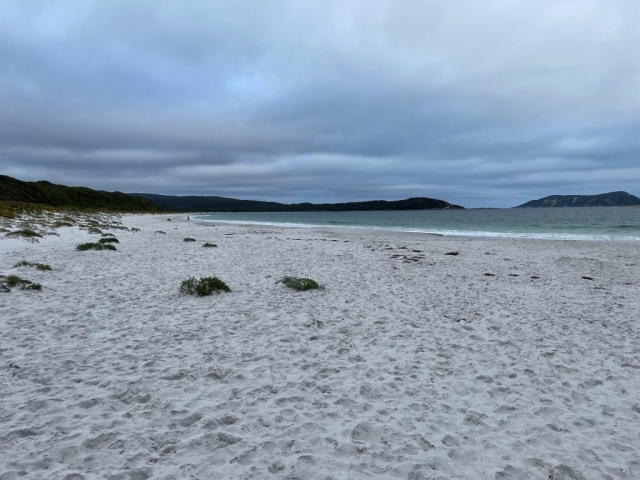 Ledge Beach - the start and finish of the walk