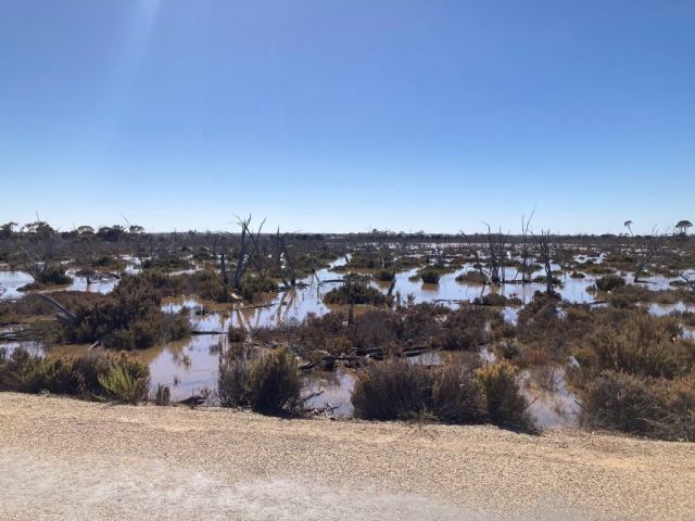 View from the Wave Rock walk circuit