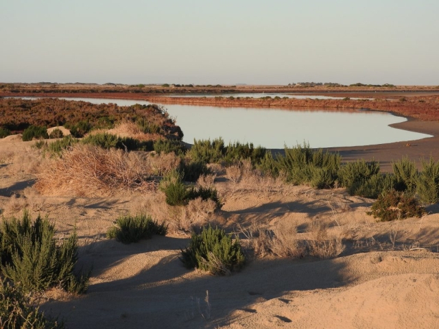 Area near the Murray River mouth