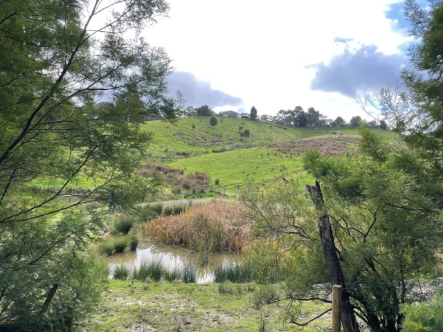 Between Panton Hill and Smiths Gully