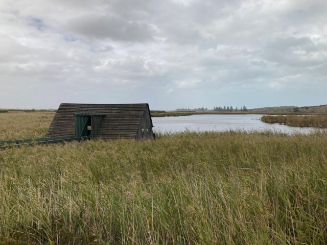 Bird hide on the Lower Murray River