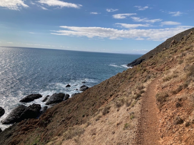 Trail to Carrickalinga Headland