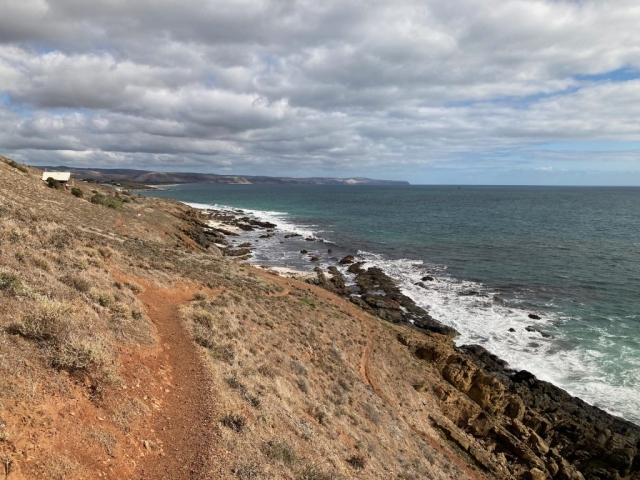 Looking back from Carrickalinga Headland