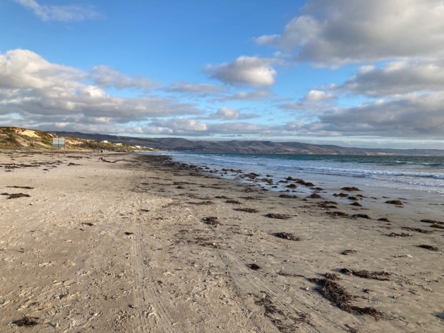 On Aldinga Beach