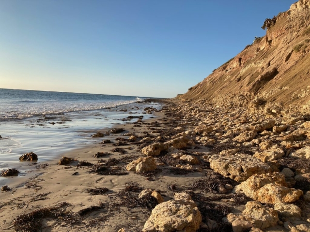 Walking north along Aldinga Beach