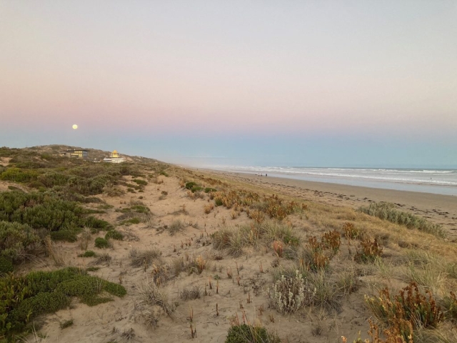 Goolwa Beach from the sand dunes