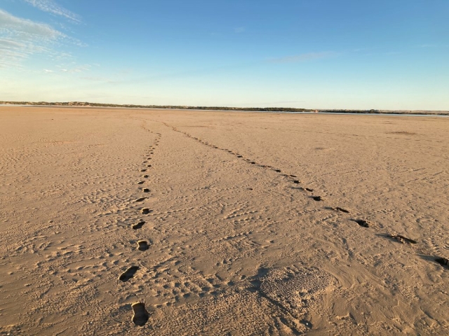 Mud flats on the Murray River