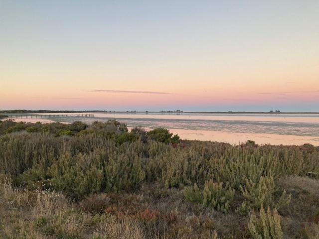 Sunset on the Murray River