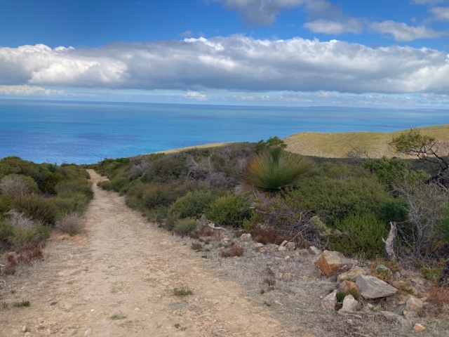 The Deep Creek Cove Hike from Tapanappa Lookout