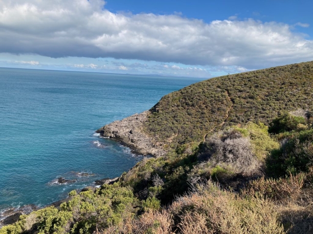 On the coast in Deep Creek Conservation Park