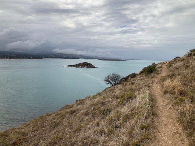 Trail on The Bluff