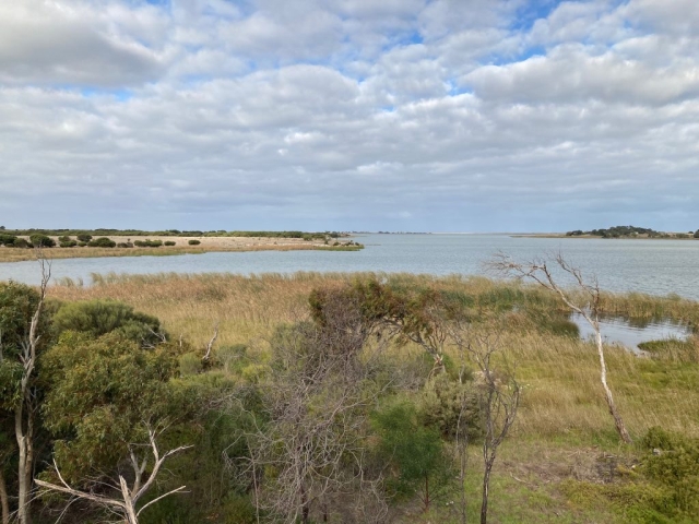 View of the Murray River and Lake Alexandrina