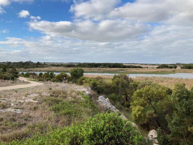 Heading towards the wetlands area