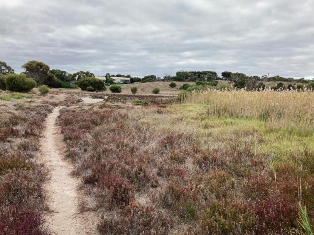 Trail through the wetlands area