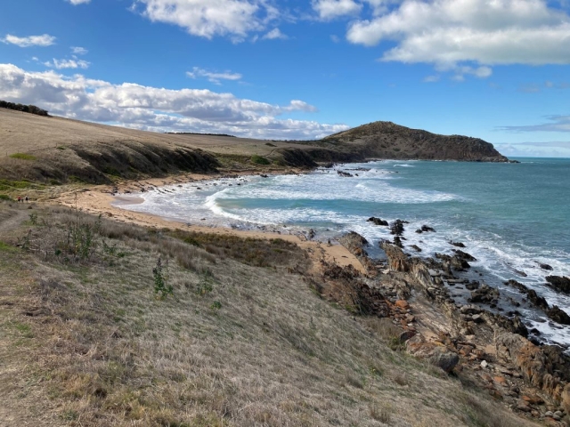 Looking back at The Bluff from the trail