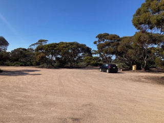 Rest Area near Mundrabilla