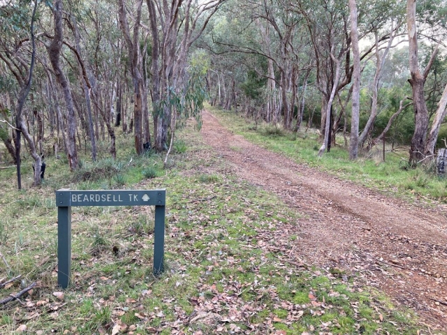 Near the Happy Valley Track, Christmas Hills