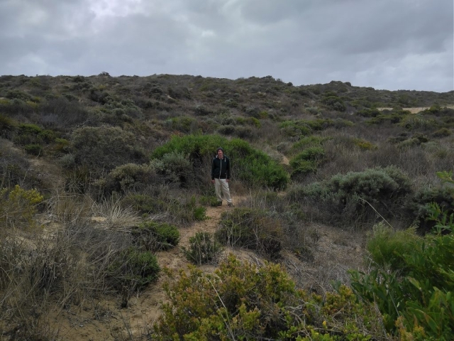 PB in the sand dunes