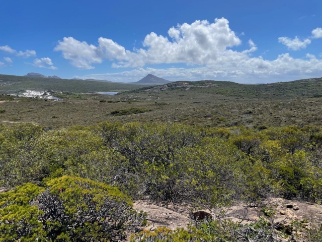 Frenchman Peak in the distance