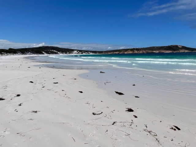 On Thistle Cove beach