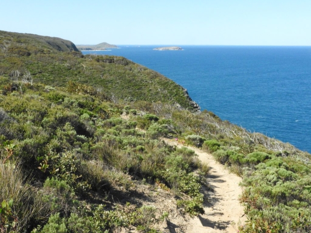 View along the cliffs to The Bluff