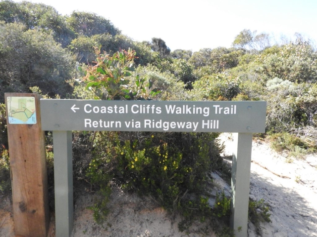 The trail junction marking the return point from the cliffs